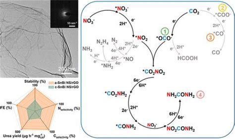 Amorphous Bismuth–Tin Oxide Nanosheets with Optimized C–N 